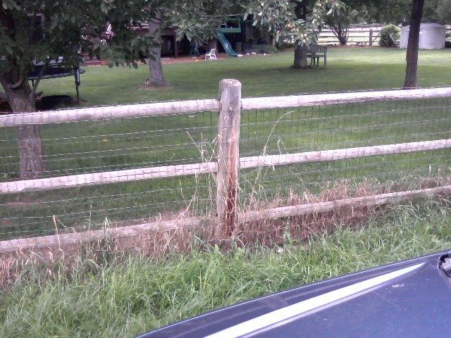 Rail & Animal Fences