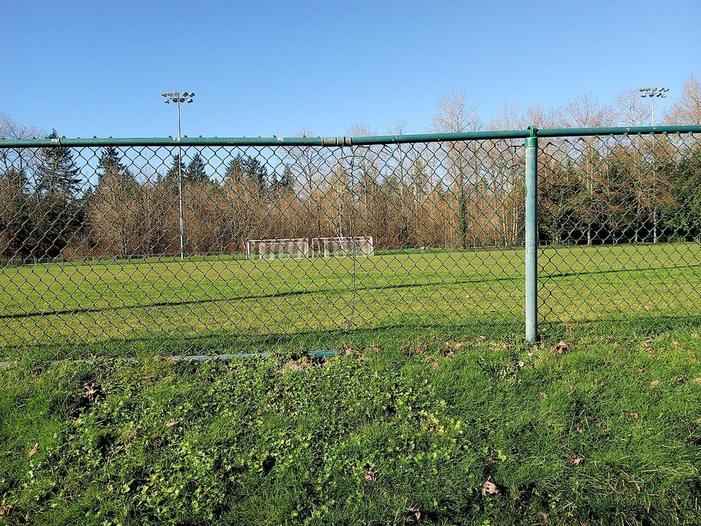 Chain Link Fences
